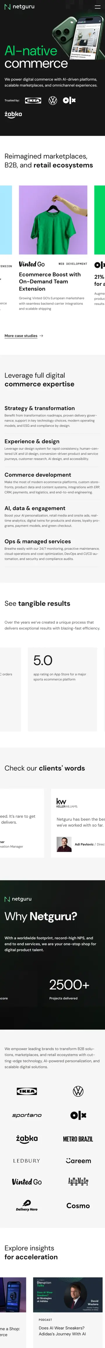 Netguru preview (mobile)